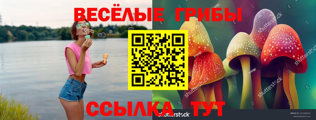 Ярцево  Галлюциногенные грибы прущие грибы  Вход с VPN 